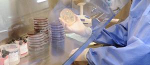 Cientistas travam luta silenciosa contra superbactrias, ameaa para a sade mundial