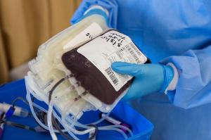 Com aumento nos acidentes de trnsito, transfuses de sangue so ainda mais necessrias