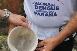 Paran encerra perodo epidemiolgico de dengue com menos casos
