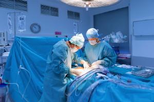 Hospital Angelina Caron realizou 207 transplantes de janeiro a maio