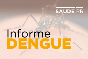 Sesa refora importncia dos cuidados preventivos contra a dengue durante o vero