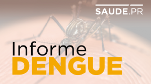 Paran soma 1.192 casos de dengue no perodo epidemiolgico
