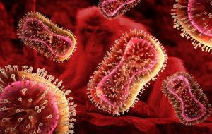 Secretaria de Estado da Sade divulga novas orientaes para manejo da Monkeypox