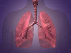 Hospital Marcelino Champagnat promove evento sobre tratamento de cncer de pulmo
