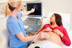 Entidades mdicas questionam exame de ultrassonografia obsttrica por enfermeiros