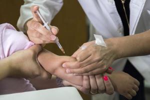 Curitiba adota cronograma de vacinao contra a febre amarela