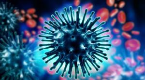 Boletim epidemiolgico aborda casos de febre amarela, influenza, dengue e chikungunya